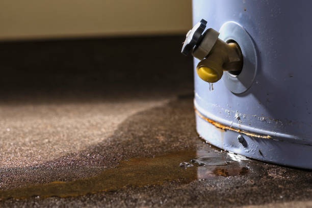 Best 24/7 water damage repair  in Winslow, AZ