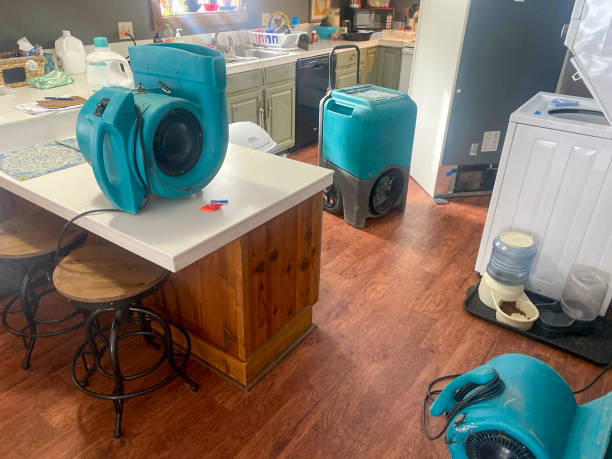 Best Professional water damage repair  in Winslow, AZ