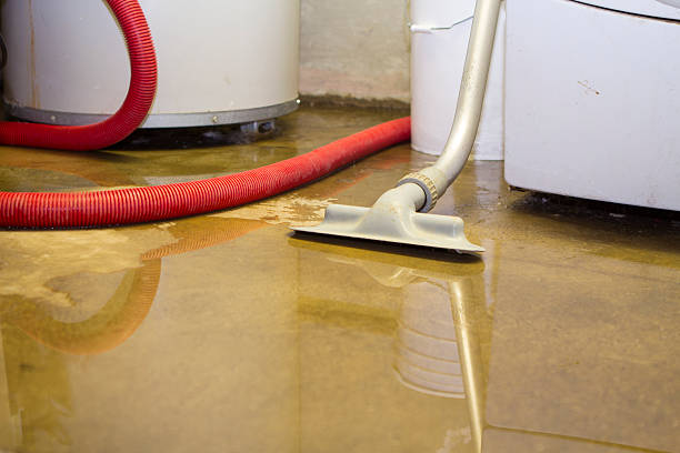 Best Emergency water extraction  in Winslow, AZ