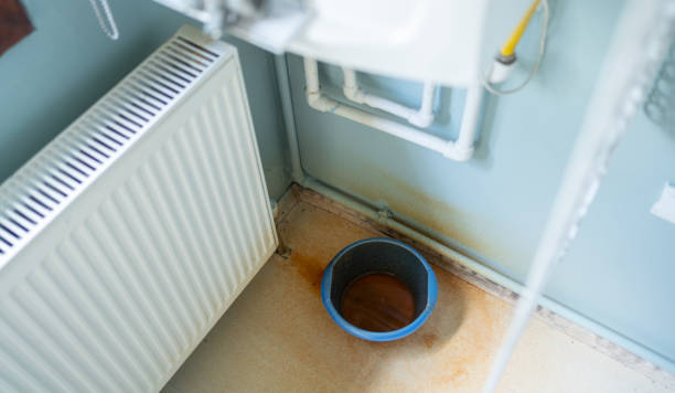 Best Water damage contractors near me  in Winslow, AZ