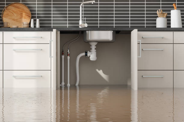 Best Residential water damage restoration  in Winslow, AZ